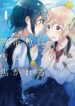 Cover 45317