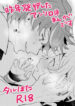 Cover 45355