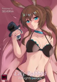 Cover 45379