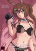 Cover 45379