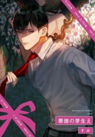Cover 45426