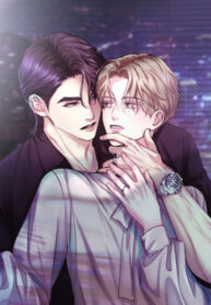 Cover 45653