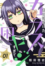 Cover 45756