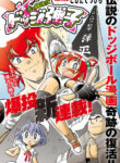 Cover 45954