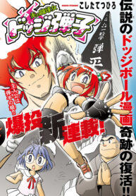 Cover 45954