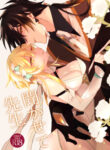 Cover 46046