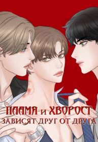 Cover 46194