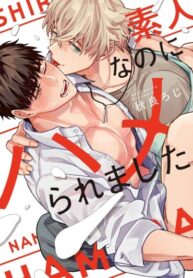 Cover 46200