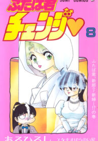 Cover 46213