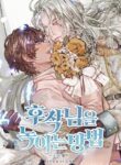 Cover 46250