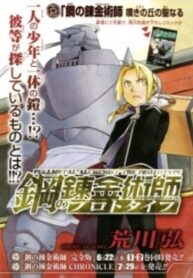Cover 46252