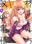 Cover 46290