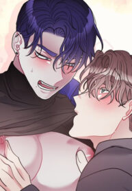 Cover 46305