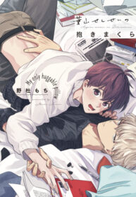 Cover 46471