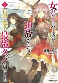 Cover 46528