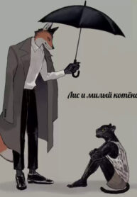 Cover 46532
