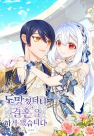 Cover 46591