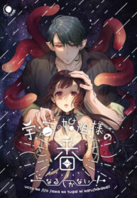Cover 46703