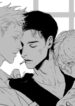 Cover 46771