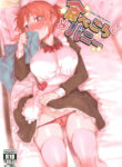 Cover 46893