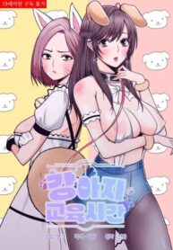 Cover 46915