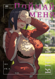 Cover 47011