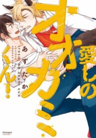 Cover 47028