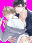 Cover 47047