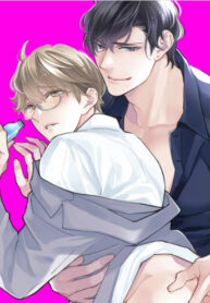 Cover 47047