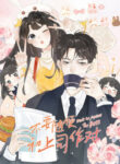 Cover 47077