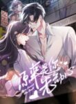 Cover 47095