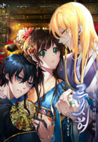 Cover 47219