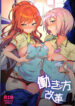 Cover 47235