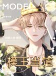 Cover 47242