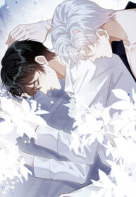 Cover 47263