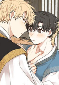 Cover 47271