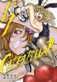 Cover 47290