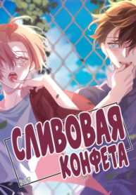 Cover 47293