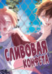 Cover 47293