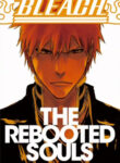 Cover 47317