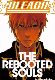 Cover 47317