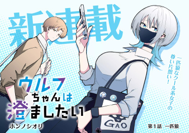 Cover 47332
