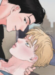 Cover 47353