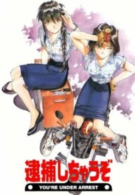 Cover 47360