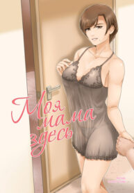 Cover 47386
