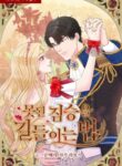 Cover 47426