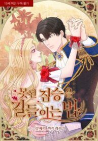 Cover 47426