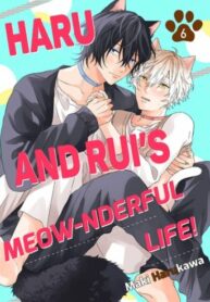 Cover 47454