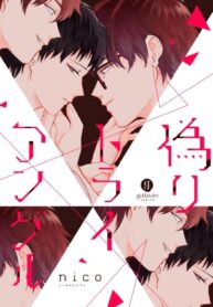 Cover 47520
