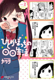 Cover 47532